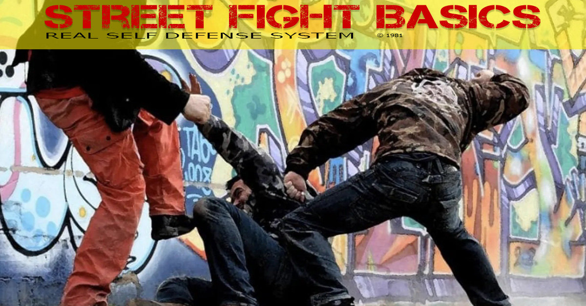 Street Fight Basics 5 Bodenkampf auf der Straße Martial Arts Center