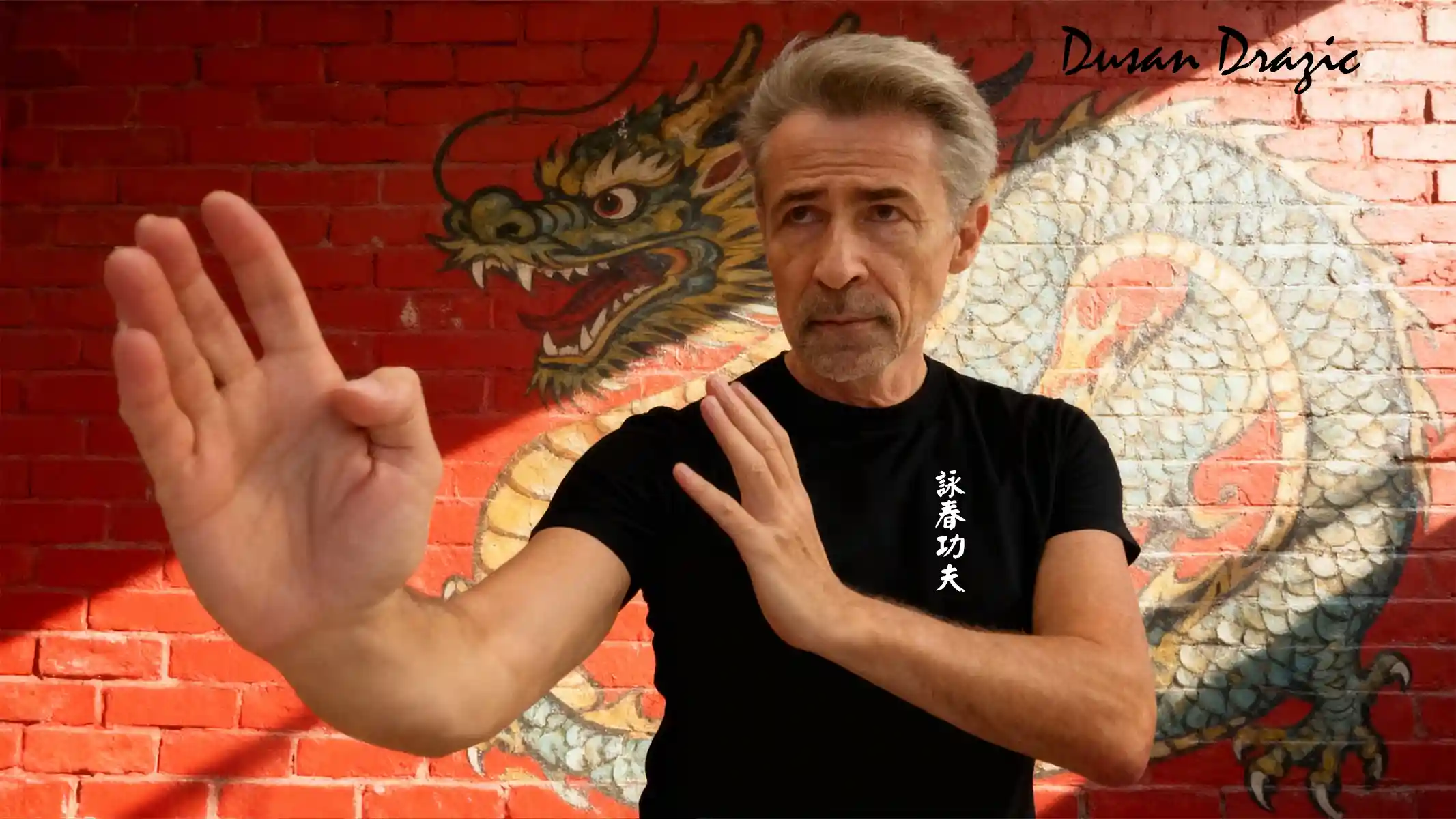 Dusan Drazic Ving Tsun - Martial Arts Center München